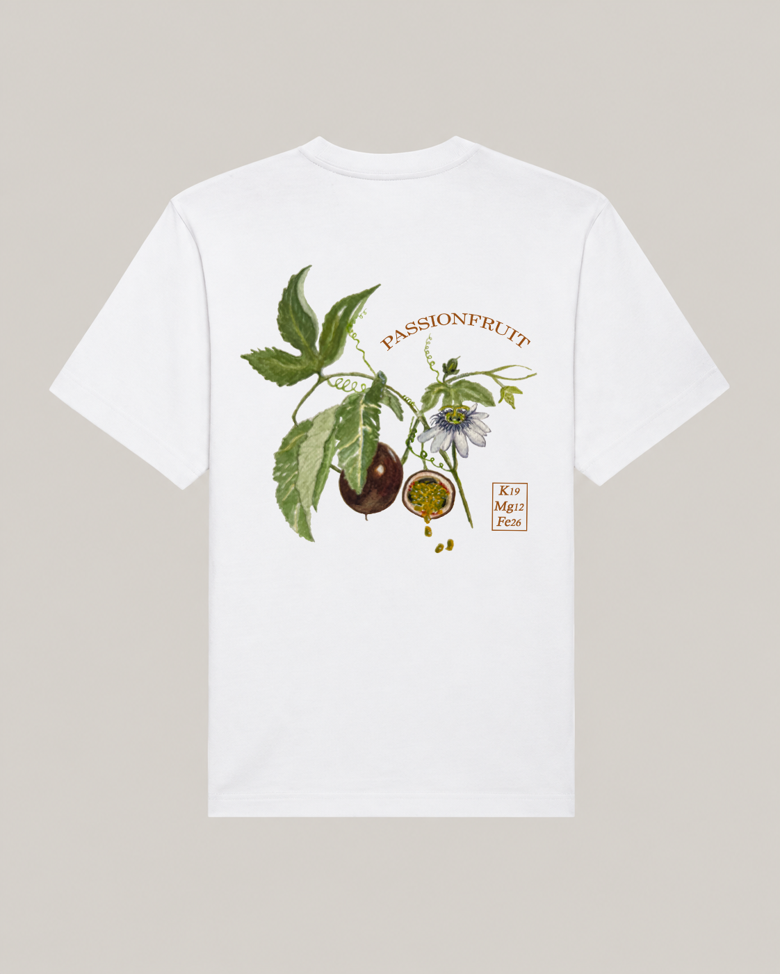Heavyweight Oversized T-shirt Backprint | Passionfruit