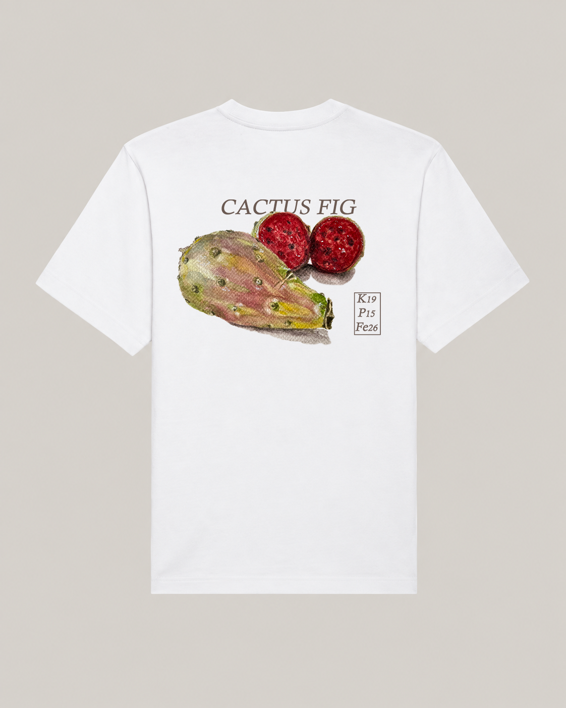 Heavyweight Oversized T-shirt Backprint | Cactusfig