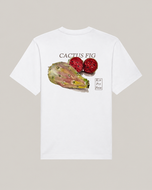 Heavyweight Oversized T-shirt Backprint | Cactusfig